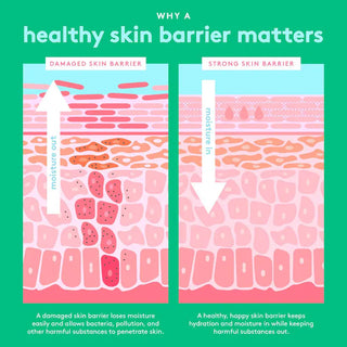 Crema Reparadora con Complejo 6-Butterlipid Bora Barrier™ - Drunk Elephant vista frontal con fondo blanco.