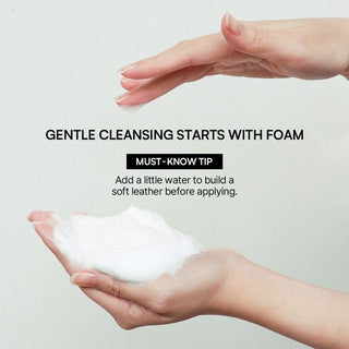 Limpiador facial 1025 Dokdo Cleanser - ROUND LAB