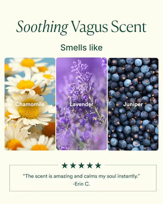 Vagus Nerve Pillow Mist - Osea Malibu