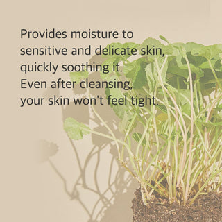 Limpiador facial Centella Cleansing Foam con Centella Asiática, pH bajo calma e hidrata la piel - Mixsoon