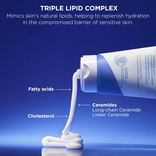 Crema Hidratante Coreana ATOBARRIER365 con ceramidas repara la barrera cutánea | Hidratación duradera de 120 horas - AESTURA