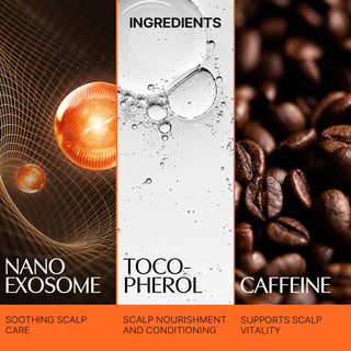 Ampolla Crecimiento capilar GROWTURN Exosome | Con biotina, cafeína y péptidos cuidado capilar coreano - lilyeve