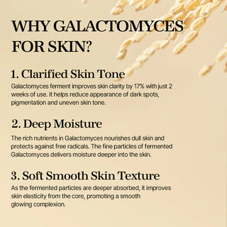 Galactomyces Ferment Essence - Mixsoon