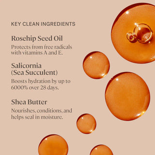 Labial Balmy Tint Hydrating Lip Balm - ILIA