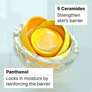 Crema facial Ceramidin™ Skin Barrier Moisturizing - Dr. Jart+