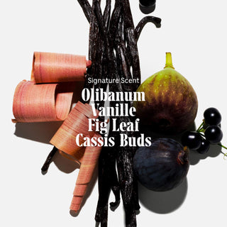 The Body Wash Olibanum – Radiance Treatment Cleanse With Vitamin C + Enzymes - Nécessaire