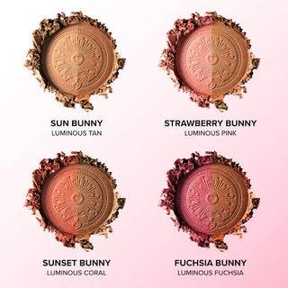Bronzer + Rubor Sun Bunny Luminous Blushing Bronzer - Too Faced