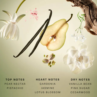 Fragancia Rare Beginnings Eau de Parfum with Pear and Gardenia - Rare Beauty